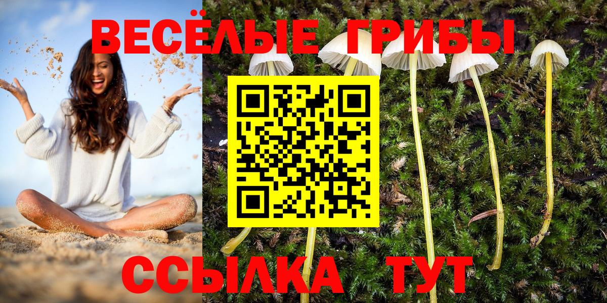 Псилоцибиновые грибы GOLDEN TEACHER Горячий Ключ