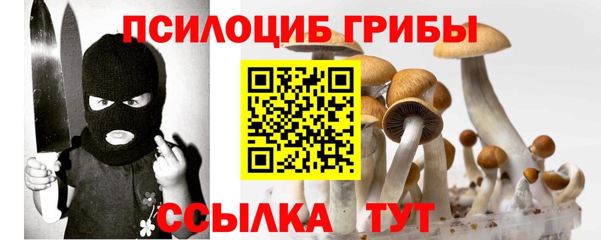 Галлюциногенные грибы мицелий  Галлюциногенные грибы Psilocybe  Горячий Ключ  Вход с VPN 
